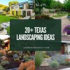 Hinterhof Landschaftsbau Ideen in Texas