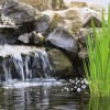 Hinterhof Teich Ideen mit Wasserfall