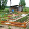 Veggie Garten Design-Ideen