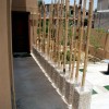 Bambus deko garten