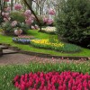 Ideen für schöne Gärten