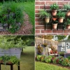 Kräutergärten für kleine Räume