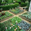 Raised veggie garden ideas