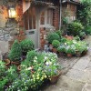 Cottage front garden ideas