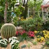 Drought tolerant garden design ideas