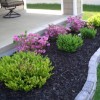 Simple cheap landscaping ideas