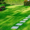 Simple landscaping ideas for backyard