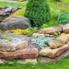 Simple rock garden ideas