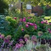 English cottage garden ideas