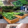 Raised vegetable garden design ideas