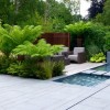 Exotic garden design ideas