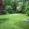 Large garden landscaping ideas