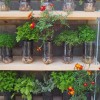 Cheap and easy garden ideas