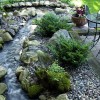 Backyard rock garden ideas