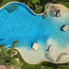 Ideas for backyard pool and landscaping