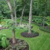 Landscaping ideas trees