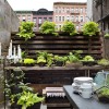 Modern urban garden design ideas