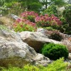 Natural rock landscaping ideas