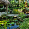 Resort style garden ideas