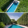 Swimming pool privacy ideas
