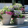 Outdoor patio planter ideas