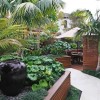 Tropical home garden ideas