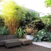 Tropical landscaping ideas for backyard