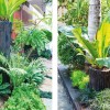 Tropical plants landscaping ideas