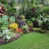 Tropical front yard landscaping ideas