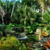 Tropical front garden ideas