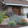 Front yard landscaping ideas low water