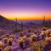 Arizona Landschaftsbilder