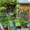 Gemüse für kleine Gärten