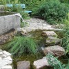 Teich mit steingarten