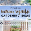 Gemüse container Gartenarbeit Ideen