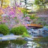 Japanisch inspirierte Gärten