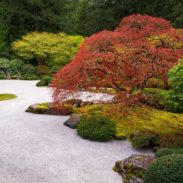 Japanische Gärten Bilder