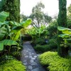 Kleine tropische Gärten