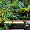 Tropischer Garten Bilder