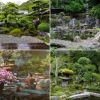 Die besten Pflanzen für den japanischen Garten