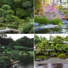 Fotos von japanischen Gärten