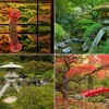 Geschichte der japanischen Gärten