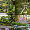 Japanische Gartenbäume und Pflanzen