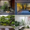 Japanische Gartengestaltung im Innenhof