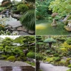 Japanische Gartengestaltungspflanzen