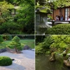 Japanische Gartenmeditation