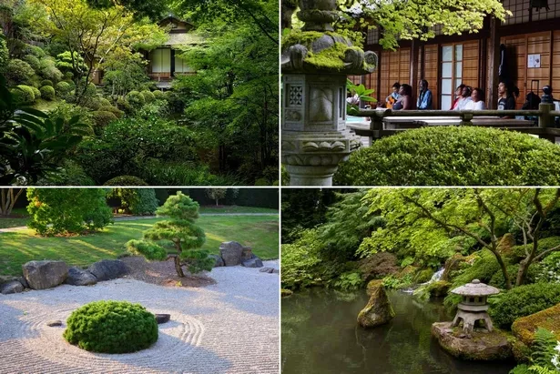 Japanische Gartenmeditation