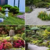 Japanische Landschaftspflanzen