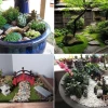Japanische Miniaturgärten