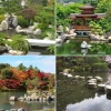 Japanische Wassergärten Bilder